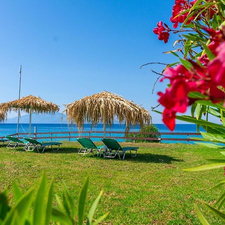 Baywatch Apartments On The Beach By "Elite" Amoudi Esterno foto